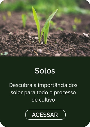 Solos